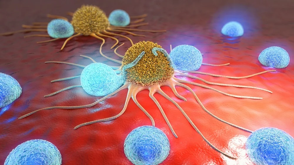 Kills The Cancer Cells