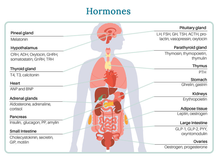 Hormonal Balancing Treatment For Both & Female